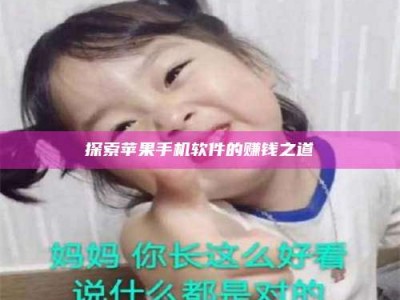 武汉探索苹果手机软件的赚钱之道